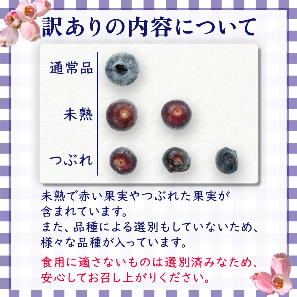 【訳アリ・大容量】シャーベット感覚！四万十町産【冷凍】ブルーベリー1kg／Cvs-11 冷凍ブルーベリー 国産