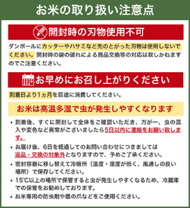 キヌヒカリ 5kg（2025年産）令和7年産 【sml400-kinu-5】