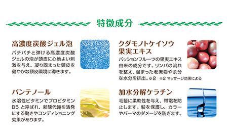 LA SINCIA スパークリングヘッドジェル 120g 3本セット -ヘッドスパ ヘッドマッサージ スッキリ 癒し 洗い流さない ヘッドジェル スパークリング 炭酸 植物成分 無添加 LA SINCIA 【価格変更】