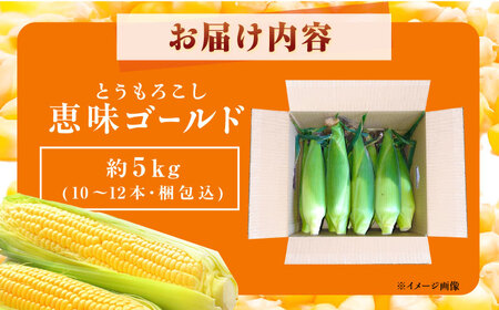 とうもろこし 恵味ゴールド 約5kg (梱包込) / 恵那市 / 大島農園 [AUEH001] 