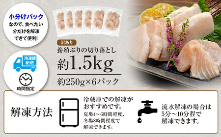 【鰤】訳ありブリ切り落とし鰤計約1.5kg南予ビージョイ訳あり|D017-150007