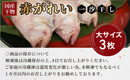 [007-a006]干物 赤がれい 一汐干し 大サイズ 3枚セット 