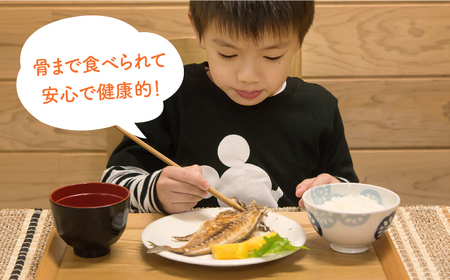 【全2回定期便】E 壱岐産 干物セット 家庭用 [JBD069]