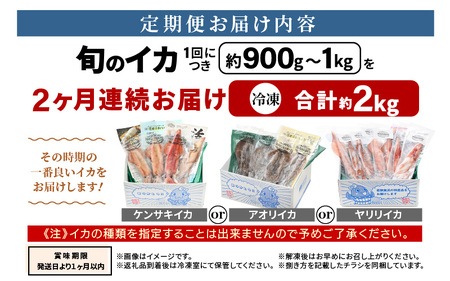 おまかせ定期便 《2ヶ月連続お届け》 計約2kg イカ 三昧！ その時期の一番良いイカをお届けします 急速冷凍 活〆 刺身 ヤリイカ ケンサキイカ アオリイカ 【いか 烏賊 若狭湾 地物 海産物 新鮮 魚介 海鮮 イカ丼 いか丼 焼きイカ 焼きいか 真空パック】 [m36-e006]