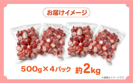 【2026年3月-発送】【訳あり】【数量限定】冷凍 カットいちご「恋みのり」 加工用 約500g×4P / 冷凍 いちご イチゴ 苺 フルーツ 冷凍フルーツ ジャム / 南島原市 / あゆみfarm [SFF005]