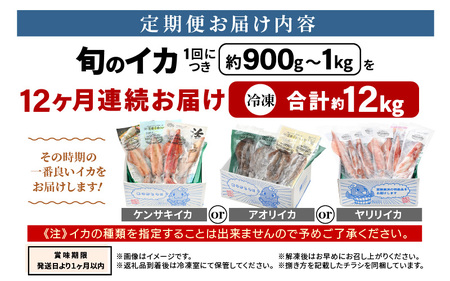 おまかせ定期便 《12ヶ月連続お届け》 計約12kg イカ 三昧！ その時期の一番良いイカをお届けします 急速冷凍 活〆 刺身 ヤリイカ ケンサキイカ アオリイカ 【いか 烏賊 若狭湾 地物 海産物 新鮮 魚介 海鮮 イカ丼 いか丼 焼きイカ 焼きいか 真空パック】 [m36-o001]