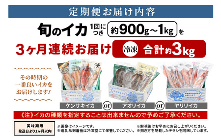 おまかせ定期便 《3ヶ月連続お届け》 計約3kg イカ 三昧！ その時期の一番良いイカをお届けします 急速冷凍 活〆 刺身 ヤリイカ ケンサキイカ アオリイカ 【いか 烏賊 若狭湾 地物 海産物 新鮮 魚介 海鮮 イカ丼 いか丼 焼きイカ 焼きいか 真空パック】 [m36-g004]