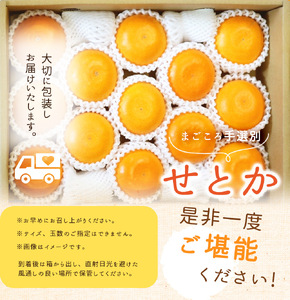 ZE6401n_【2027年先行予約】湯浅町産せとか11～15玉（M～2Lサイズ混合）化粧箱入り秀品【まごころ手選別】