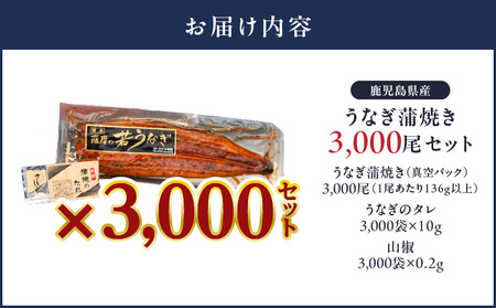 【 土用の丑の日特集 】 2626 どうぞ、召し上がれ！うなぎ養殖量日本一からの挑戦状！【うなぎ蒲焼き3000尾】 KN058-002-3000 魚 鰻