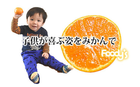 みかん 秀品 計5kg【2026年10月上旬～2027年2月下旬発送予定】