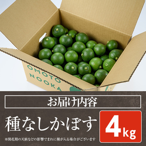 ＜先行予約受付中！2026年8月下旬以降順次発送予定＞おもとの丘の種なしかぼす(4kg)柑橘 かんきつ カボス 種無し 期間限定【111300900】【未来農林】