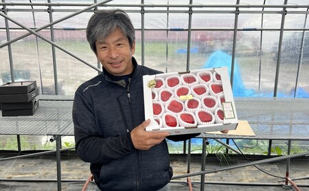 いちご 朝倉市産 あまおう 4L以上 16玉～20玉×2箱 イチゴ 苺 果物 デザート ＜しばやま農園＞ ※配送不可：離島 