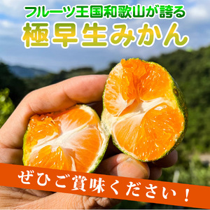 EA6104_【2026年先行予約】和歌山県限定の極早生みかん 3kg (YN-26 大小混合)