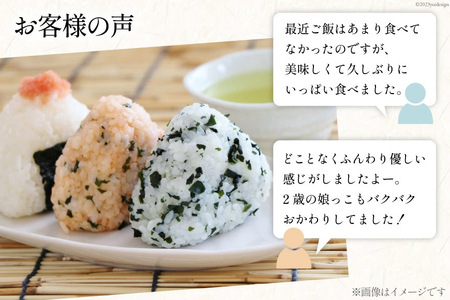 【期間限定発送】 米 令和7年 コシヒカリ 白米 450g(3合) [みどりの波(翠の波) 石川県 宝達志水町 38601230]