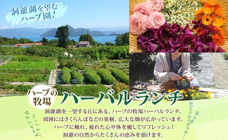 北海道 モヒート ソーダ 作り 体験 ハーブ ミント サイダー ノンアルコール ノンアル オリジナル 天然 リラックス 癒し リラクゼーション 健康 ハーバルランチ 送料無料 洞爺湖 
