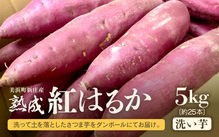 【先行予約】大谷原の熟成さつまいも (5kg 洗い芋) 約25本【入手困難・数量限定】【2026年10月下旬以降順次発送予定】【サツマイモ 芋 紅はるか】 [m23-a005]