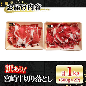 ＜訳あり＞宮崎牛 切り落とし(計1kg・500g×2P) 牛肉 肉 ブランド牛  冷凍 国産 精肉 お取り寄せ 黒毛和牛 宮崎県 【LJ005】【ローカルブランディング株式会社】