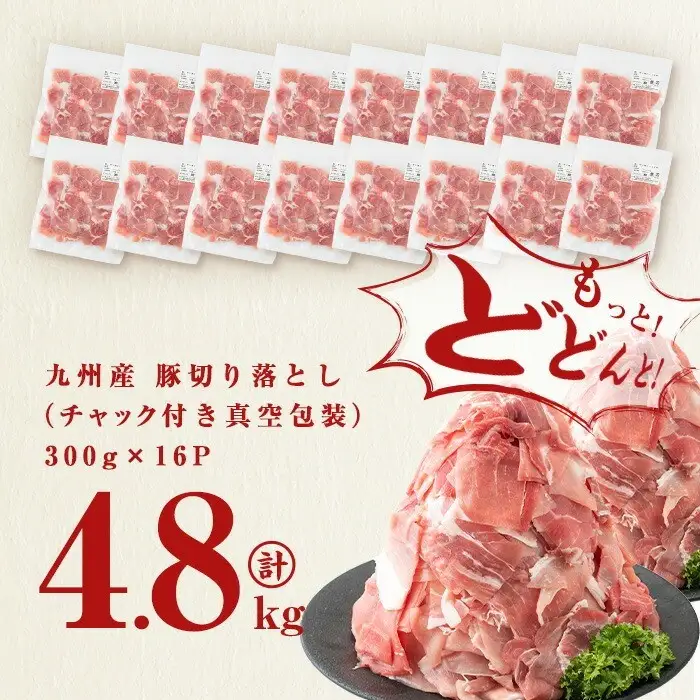 【訳あり・生産者応援企画】九州産 豚切り落とし肉＜計4.8kg(300g×16P)＞ 豚肉 ぶた肉 肉 国産 九州産 切り落とし 切落し 小分け 真空パック チャック付き 野菜炒め 豚丼 カレー b3-023