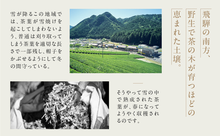 金飛騨茶 57577  緑茶（50g×1箱）ほうじ茶（40g×1箱）飛騨金山産　計90g 煎茶 お茶 茶 茶葉 高級【94-3】