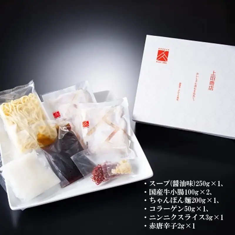 「上田商店」博多もつ鍋セット(醤油味/2人前)【A4-038】
