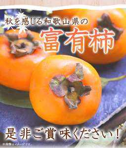 G7114_和歌山秋の味覚 富有柿 秀品 約2kg 化粧箱入