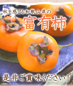 G7111_和歌山秋の味覚 富有柿 約4kg 化粧箱入