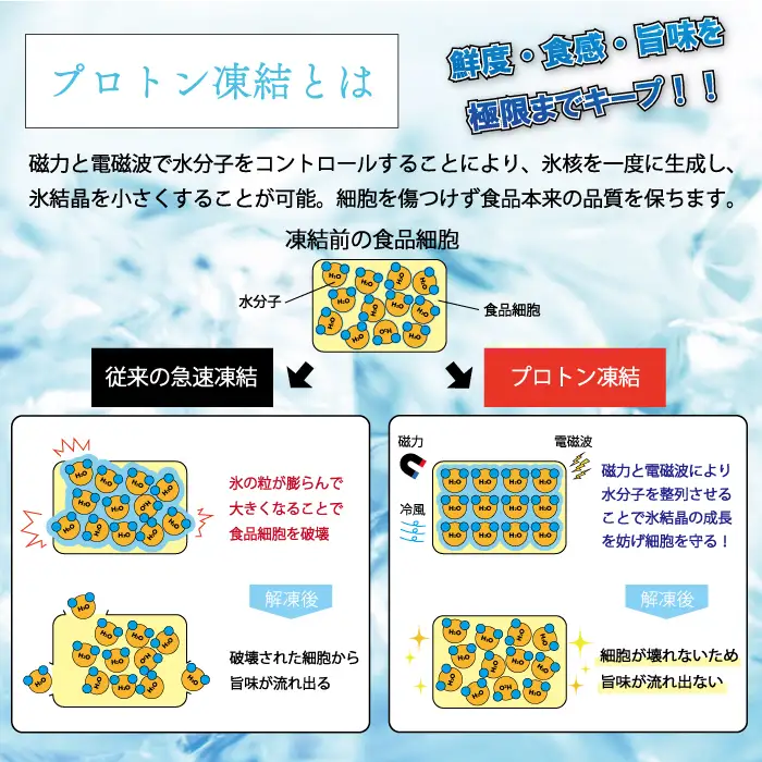 マグロ 訳あり まぐろ 本マグロ 刺身 中トロ 500g 養殖 本まぐろ さしみ 刺し身 ネギトロ ねぎとろ 漬け丼 海鮮丼 まぐろたたき 海鮮セット 柵 年末 年始 正月 高知県 大月町