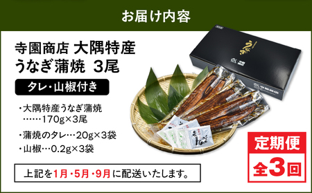 2482 【 定期 3回 】大隅特産 うなぎ蒲焼 3尾（510g）【 国産 】 KN060-T06 魚 冷凍 鰻 定期便
