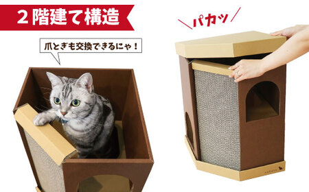 nekoto_コーナースクラッチハウス 
