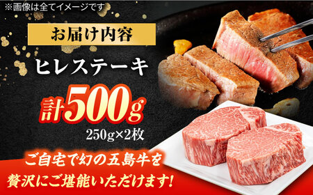 五島牛ヒレ 250g×2枚  [PAF032]  牛肉 国産 希少 ヒレ ヒレステーキ ステーキ 牛肉 国産 国産牛