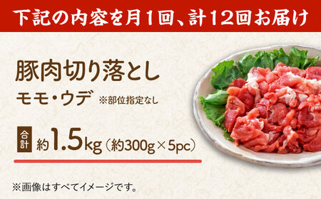 【12回定期便】豚肉切り落とし（モモ・ウデ部位指定なし）約1.5kg（約300g×5pc）【吉里精肉】[ZEW086]