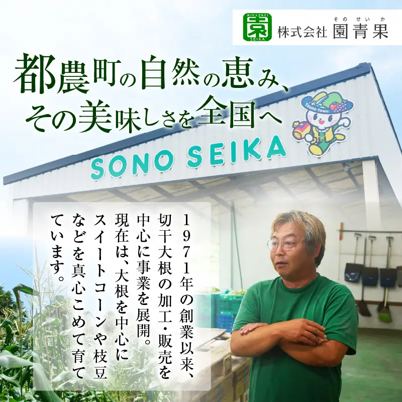 【2週間以内発送】≪宮崎県産≫切干大根(紅芯大根-そのでこ-)計10袋 野菜 加工品 国産_T003-0115
