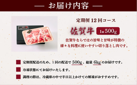 佐賀牛切り落とし 計6kg (500g×12回)