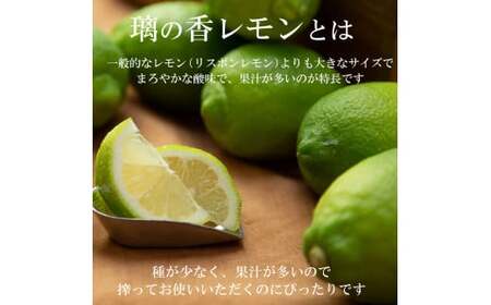 【先行予約】璃の香レモン　約1.5kg　（4?6個）訳ありご家庭用　〈2026年8月下旬?9月下旬頃発送〉  / 果物　柑橘　フルーツ　レモン　高知県土佐市　お取り寄せ 産地直送　おいしい 美味しい　白木果樹園【白木果樹園】 [BQAI023]