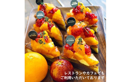 【先行予約】ブラッドオレンジ　約3kg　〈2027年2月中旬?3月中旬頃発送〉  / 果物　柑橘　フルーツ　オレンジ　高知県土佐市　お取り寄せ 産地直送　おいしい 美味しい　白木果樹園【白木果樹園】 [BQAI042]