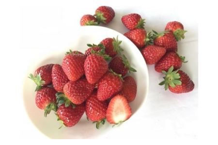 特選 大粒いちご 「まりひめ」２箱(B154-2)