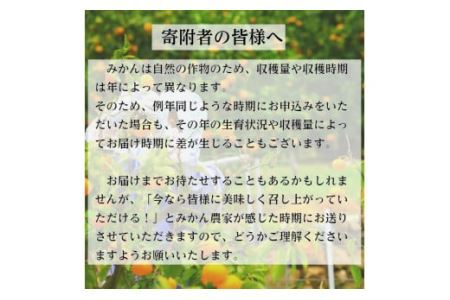 【10月お届け】有田みかん「未来への虹」（10kg）(B233-2)