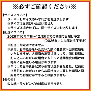 有田市認定みかん「未来への虹」至宝(3kg)【日本初自治体認定フルーツ】(B327-2)