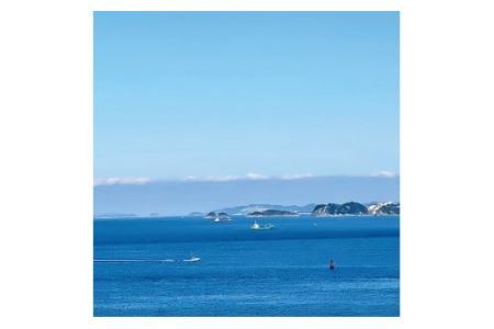 しらす職人が目利きした「釜揚げしらす」１.６ｋｇ(B535-2)