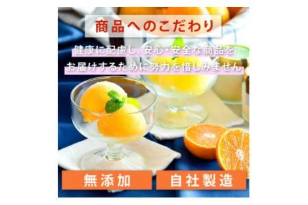 凍らせて食べるなめらか寒天ソルベ  ギフトセット(B307-1)