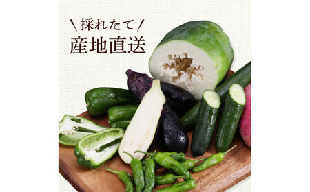 【先行予約】どっさり！新鮮野菜の詰合せ 7～10種類 