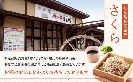 高山市荘川地区 遊漁証・年釣漁券(雑魚) 1名分 | 釣り 遊漁証 年釣り 荘川 庄川 庄川漁業協同組合 アウトドア 飛騨高山 桜の郷猿丸管理組合 NN014