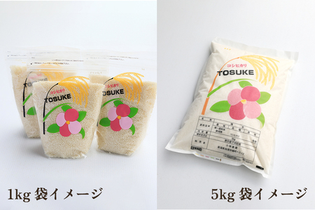 【令和8年産新米先行予約】加茂市小林農園のコシヒカリ 10kg（5kg×2袋）《9月中旬～順次出荷》 新潟産コシヒカリ