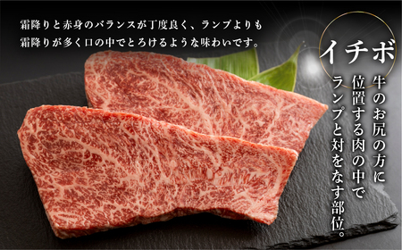 飛騨牛ステーキ2種セット（サーロイン 250g、イチボ 200g）各1枚【70-58】