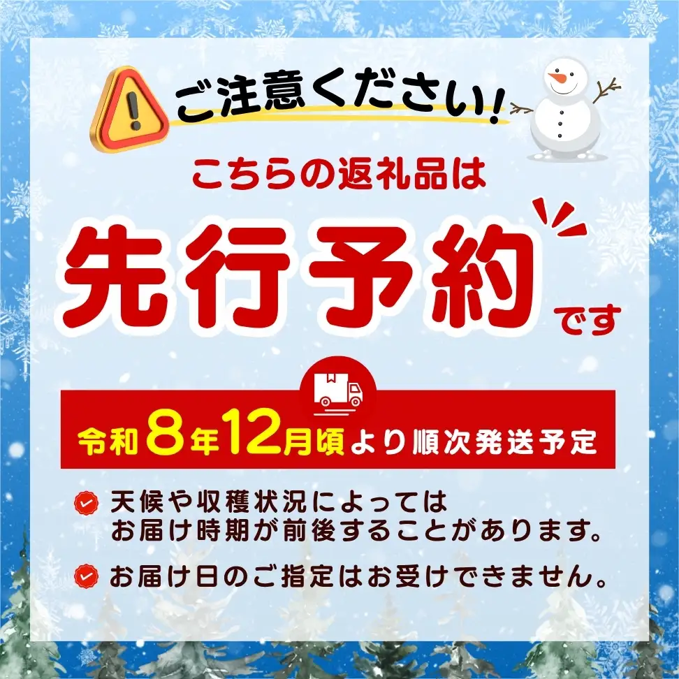 貯蔵 富有柿 12 個～14 個 L～2L サイズ | 果物 柿 