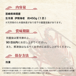 【先行予約】 ＜数量限定＞宮崎県串間産伊勢エビ（約450g）_K027-001