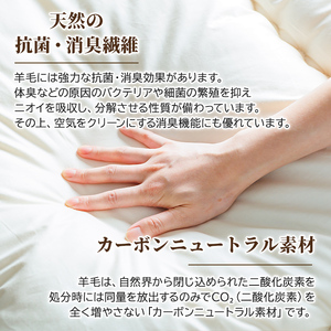 【E7064】＼羊毛100％／ピュアウール 掛布団 (シングル・1枚) 布団 ふとん シングル 寝具 掛ふとん 羊 ウール 睡眠 眠り 【寝具の井上】