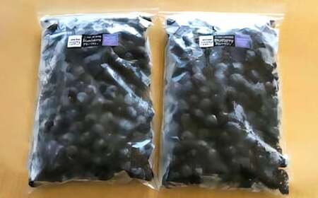 久住高原 冷凍 ブルーベリー 500g 2袋 計1kg 【2025年7月下旬より順次発送開始予定】
