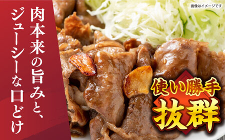 長崎和牛 牛肉切り落とし 500g 牛肉切り落とし CFT003