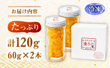 壱岐産 生うに 120g（60g×2本） [JEH001]